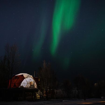 Aera - Glass Cabins トロムソ エクステリア 写真