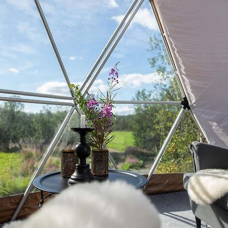 Aera - Glass Cabins トロムソ エクステリア 写真